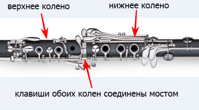 Устройство кларнета схема