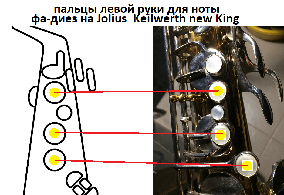 Ноты в дудке у меня. Аппликатура саксофона. Устройство саксофона. Схема саксофона. Аппликатура саксофона Альт для новичков.